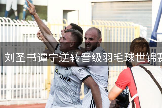 刘圣书/谭宁逆转晋级羽毛球世锦赛女双决赛