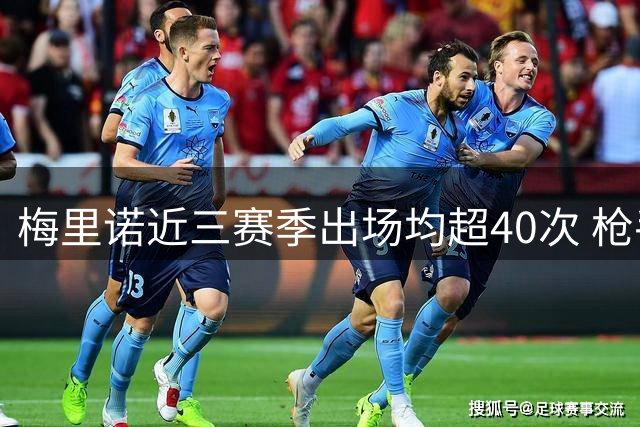 梅里诺近三赛季出场均超40次 枪手第一次训练就伤