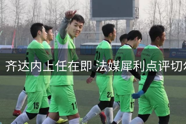 齐达内上任在即 法媒犀利点评切尔基世界杯表现隐患